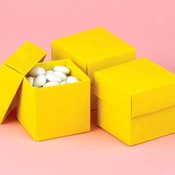 Two-Piece Favor Boxes- Yellow