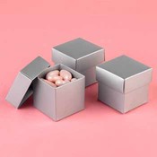 Two-Piece Favor Boxes- Silver Shimmer