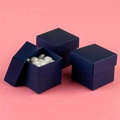 Two-Piece Favor Boxes- Navy