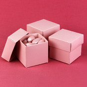 Two-Piece Favor Boxes- Blush (Pink)