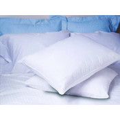 Allergy Free Pillow/Standard