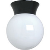 Exterior Globe Ceiling Fixture, Black