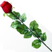 Jumbo Velvet Rose Bud
