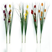 Baby Cattails