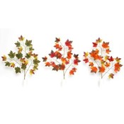 Maple Leaf Branch