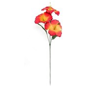 Hibiscus Stem