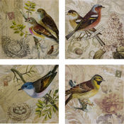 Kincaid Bird Canvas - Set of 4