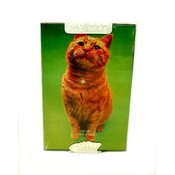 Cat Pet Frame