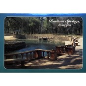 Georgia Postcard 12128389 Radium Springs Wholesale Bulk