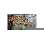 Arkansas Postcard 12139 State Beauty Wholesale Bulk