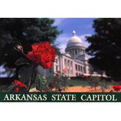 Arkansas Postcard 12189 State Capitol Rose Wholesale Bulk
