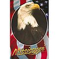 Mississippi Postcard - Bald Eagle