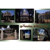 Mississippi Postcard 12346 Natchez Multi-View