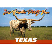 Texas Postcard 12512 Another Pretty Face