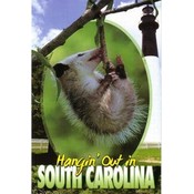 Jenkins South Carolina Postcard- Hangin Out Wholesale Bulk