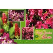 North Carolina Postcard- Wildflowers Multiview