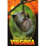 Virginia Postcard- Hangin Out