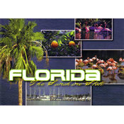 Florida Postcard- Scenic Multiview