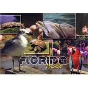Florida Postcard- Wildlife Multiview