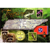 Tennessee Postcard- State Map