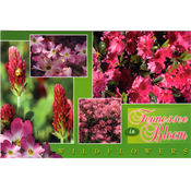 Tennessee Postcard- Wildflowers Multiview