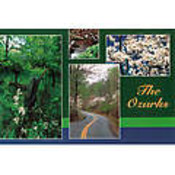 Ozarks Postcard 13037 Ozark 4 View Wholesale Bulk
