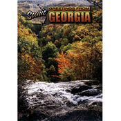 Georgia Postcard - Scenic Georgia Wholesale Bulk