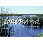 Louisiana Postcard 13206 Salt Water Marshes
