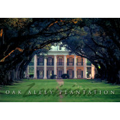 Louisiana Postcard 13212 Oak Alley Plantation