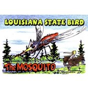 Louisiana Postcard 13233 State Bird