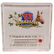 Tennessee Magnet Lucite Thermo