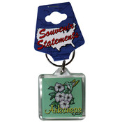 Jenkins Arkansas Lucite Keychain- Hummingbird Wholesale Bulk
