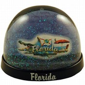Florida Snowglobe- Elements