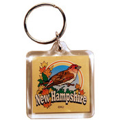 New Hampshire Keychain Lucite 3 View