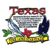 Texas Magnet 2D State History Wholesale Bulk