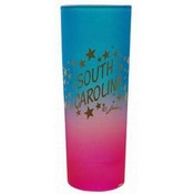Jenkins South Carolina Shooter Shotglass- Multicolor Stars Wholesale Bulk
