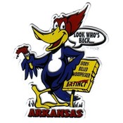 Jenkins Arkansas 2D Magnet- Woodpecker Wholesale Bulk