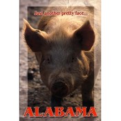 Alabama Postcard Al113 Pretty Face