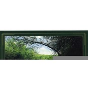 Arkansas Postcard Ar160 Buffalo River Wholesale Bulk