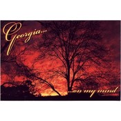 Georgia Postcard  Ga171 Ga Sunset