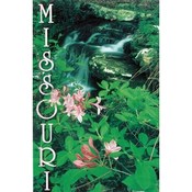 Missouri Postcard Mo833*Waterfall