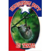 Texas Postcard Tx105 Hangin Out