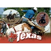 Texas Postcard Tx113 Rodeo Texas