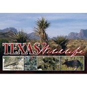 Texas Postcard Tx126 Texas Wildlife