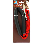 Dog Leash