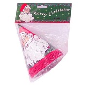 Santa Claus Party Hats