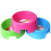 Dog Bowl in Assorted Bright Colors