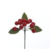 Small Red Berry Cluster