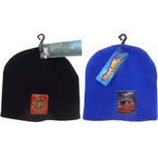 Harry Potter and Hot Wheels Beanies
