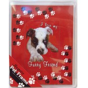 Magnetic Frame